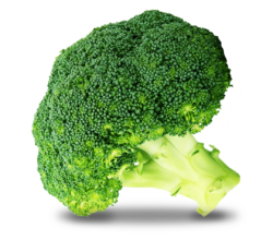 brocoli